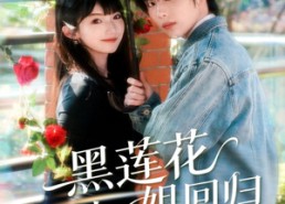 【黑莲花大小姐回归】80集在线免费看短剧全集版