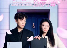 【夫人她总想守寡】81集免费短剧全集看