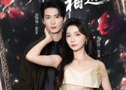 【偏偏再相逢】54集短剧免费高清在线看