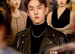 【这个老大他懂法】100集短剧全集高清免费看