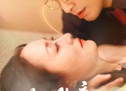 【你是长夜也是灯火】45集免费短剧全集高清看