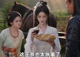 【王妃休夫记】41集短剧免费完整观看