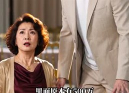 【静静无声的过往】29集短剧在线免费高清赏看
