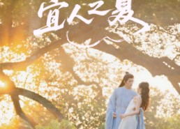 【遇见宜人之夏】31集短剧免费完整观看