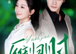 【雁归时】70集短剧免费全集在线赏看