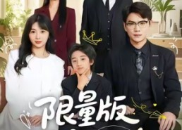 【限量版萌宝攻略】60集短剧在线免费观看