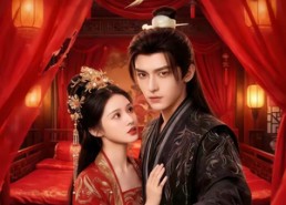 【大婚夜，世子提刀护我】53集免费短剧随心观看
