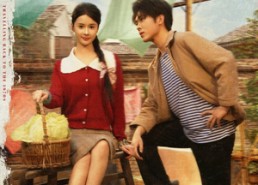 【七零辣妻治家手册】91集短剧免费在线即刻看