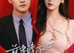 【前妻请放手，我们已离婚】86集短剧免费全集速看站