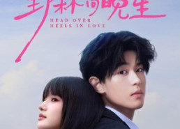 【野林向晚星】66集免费短剧在线完整观看
