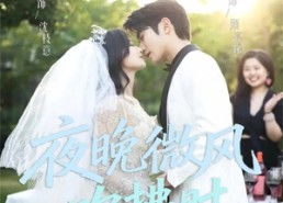 【夜晚微风吹拂时】61集免费在线短剧观览