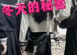 【冬天的秘密】60集免费在线短剧全集直播看