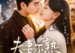 【夫妻不熟，日子照过】80集短剧免费高清在线看