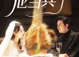 【闪婚老公他当真了】81集畅享短剧全集观看