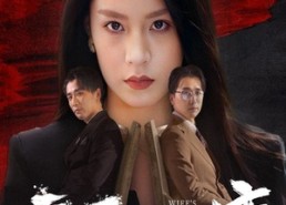 【妻子的心事】60集短剧在线免费观览