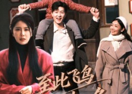 【至此飞鸟不相逢】70集短剧在线免费高清全集观