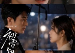 【初雪知我意】13集短剧免费随心观映