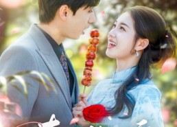 【春日微醺】82集短剧在线免费完整观看