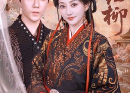 【愿红柳】72集免费在线看短剧完整版