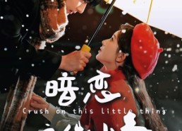 【暗恋这件小事】100集免费短剧高清全集在线赏