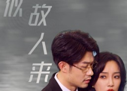 【恰似故人来】79集短剧完整版在线观瞧