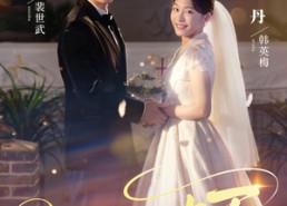 【心动半百】73集短剧免费在线追看