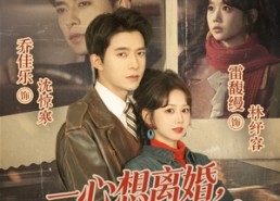 【一心想离婚，少夫人她不好惹】66集超火短剧在线免费观全