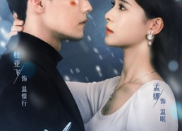 【第19年】免费在线全集看99集短剧