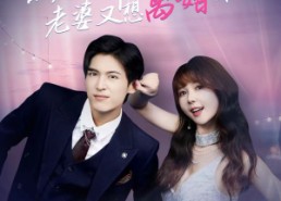 【裴先生的复婚攻略】80集在线免费短剧全集观