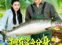 【拥有鲨鱼分身，我靠赶海发家致富】114集短剧免费在线览看