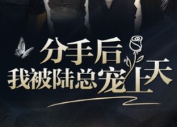 【分手后，我被陆总宠上天】76集免费短剧在线随意看
