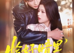 【恰好暗里逢他】66集短剧全集在线免费赏