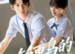 【知更鸟的陷阱】58集高清短剧免费全集速看