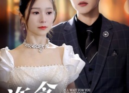 【许念，我等你十年】55集短剧在线免费观享