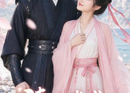 【清欢半盏渡流年】46集短剧全集免费轻松看