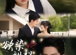 【欲染甜梨】63集短剧免费在线览看