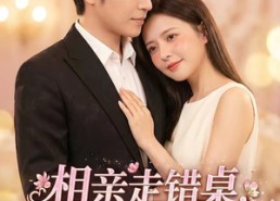 【相亲走错桌，沈夫人别来无恙】70集精彩短剧免费在线观瞧