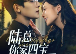 【陆总你家四宝要逆天】84集短剧免费高清在线看