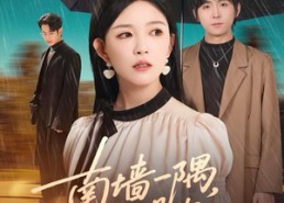 【南墙一隅，回头是你】61集在线短剧全集畅快观