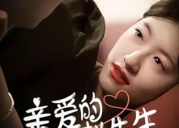 【亲爱的赵先生】100集短剧全集免费观赏