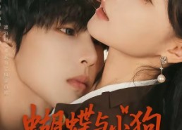 【蝴蝶与小狗】70集短剧全集在线免费播放