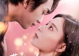 【蓄谋已久历总他明撩暗哄】78集线上免费看短剧全集