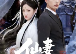 【仙妻带娃来认亲】66集短剧免费高清观看