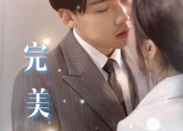 【完美上司】30集高清短剧在线速看