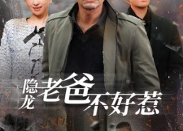 【隐龙老爸不好惹】82集短剧夸克网盘轻松看