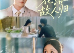 【花落故人归】66集免费短剧在线观览