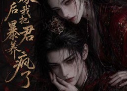【替嫁后我把暴君养疯了】20集短剧免费全集览看