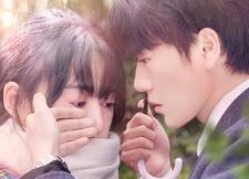 【宠婚来袭】102集免费短剧在线全集观享