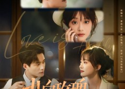 【扑向玫瑰】77集在线免费看短剧全集享