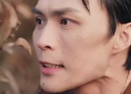 【岛上升明月】60集在线短剧免费赏视